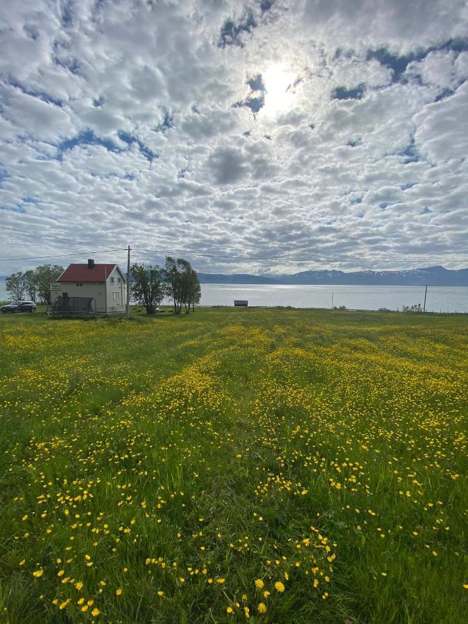 Unique And Charming Holiday Home With Fantastic Sea Views トロムソ エクステリア 写真