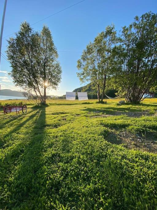 Unique And Charming Holiday Home With Fantastic Sea Views トロムソ エクステリア 写真