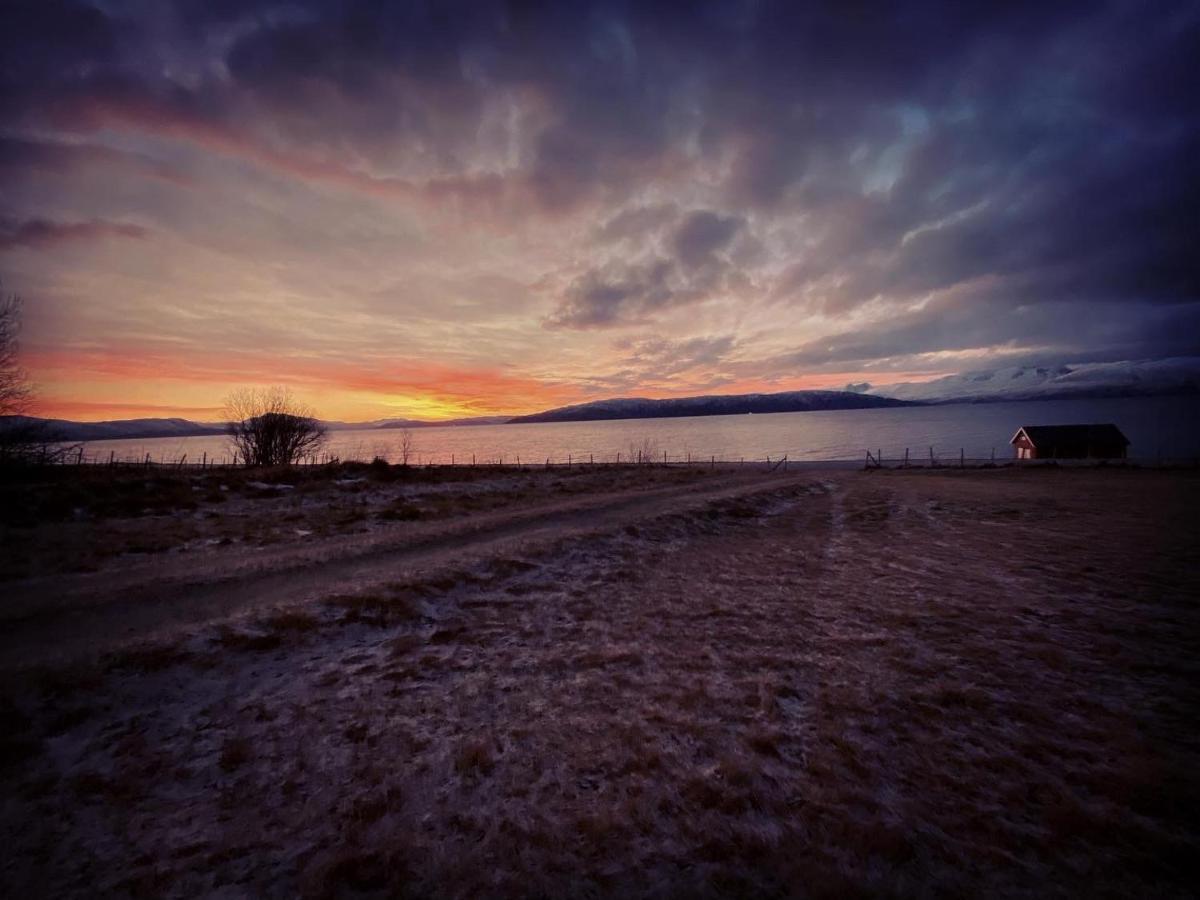 Unique And Charming Holiday Home With Fantastic Sea Views トロムソ エクステリア 写真