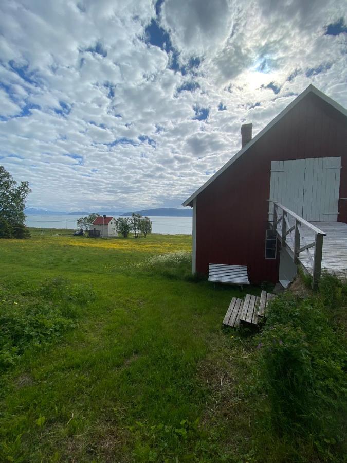 Unique And Charming Holiday Home With Fantastic Sea Views トロムソ エクステリア 写真