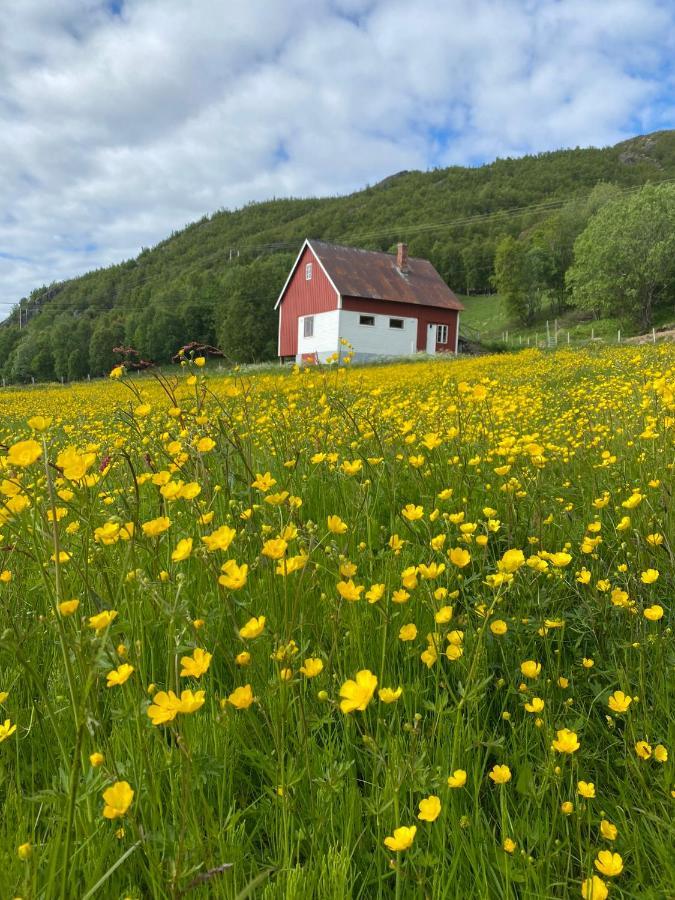 Unique And Charming Holiday Home With Fantastic Sea Views トロムソ エクステリア 写真