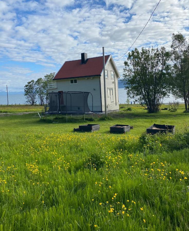 Unique And Charming Holiday Home With Fantastic Sea Views トロムソ エクステリア 写真