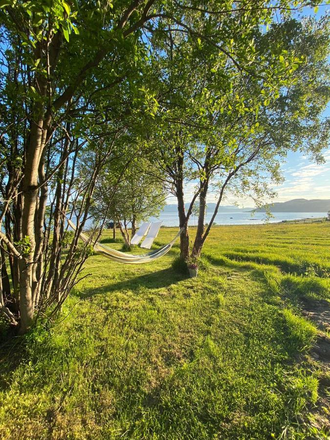 Unique And Charming Holiday Home With Fantastic Sea Views トロムソ エクステリア 写真