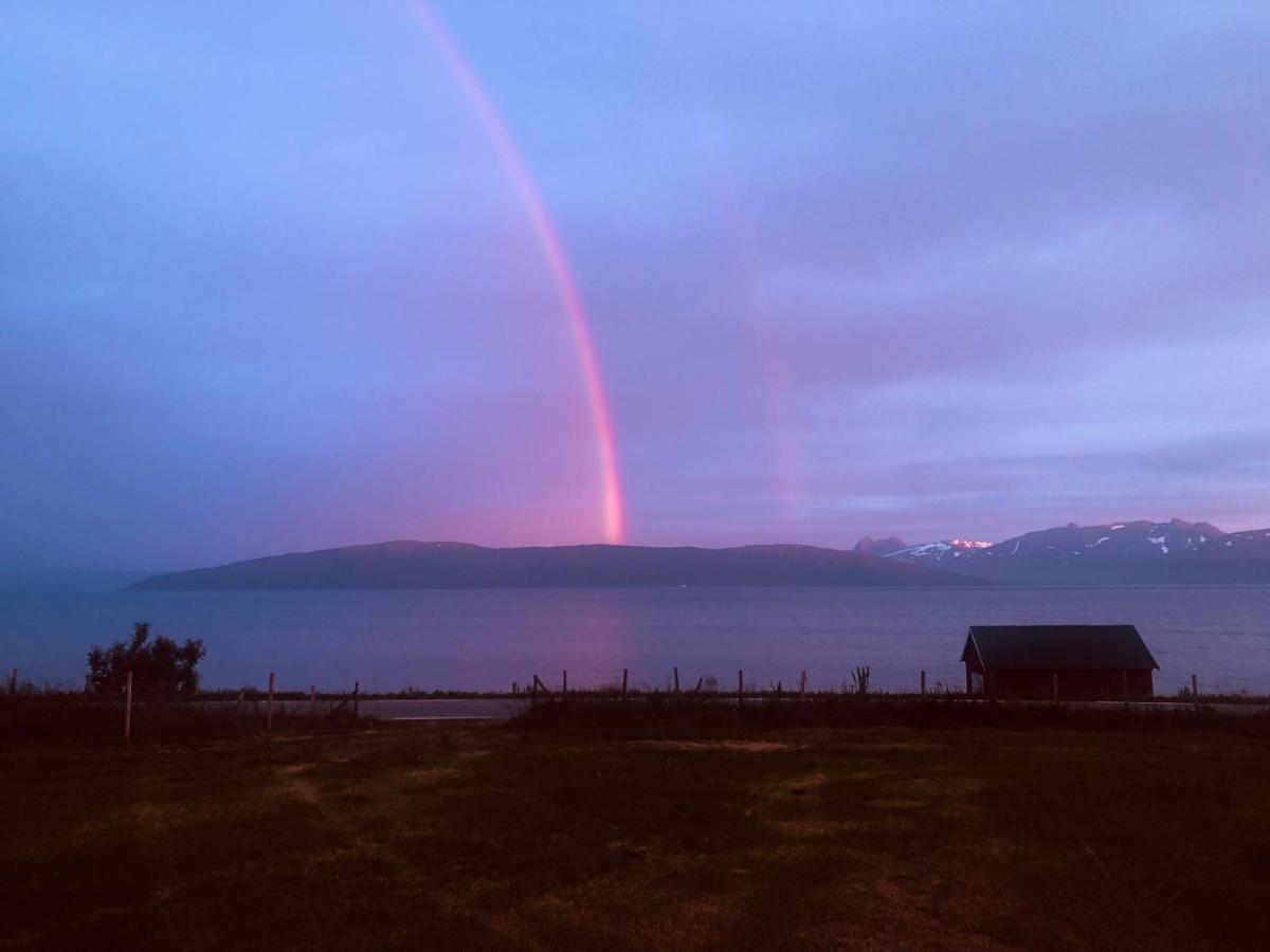 Unique And Charming Holiday Home With Fantastic Sea Views トロムソ エクステリア 写真