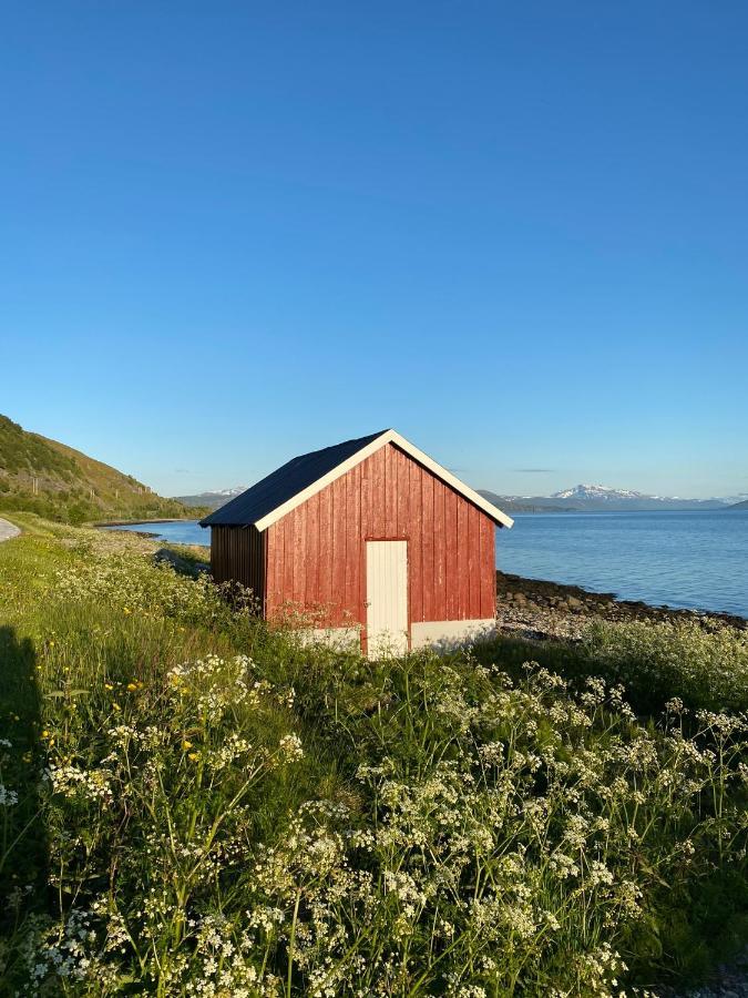 Unique And Charming Holiday Home With Fantastic Sea Views トロムソ エクステリア 写真