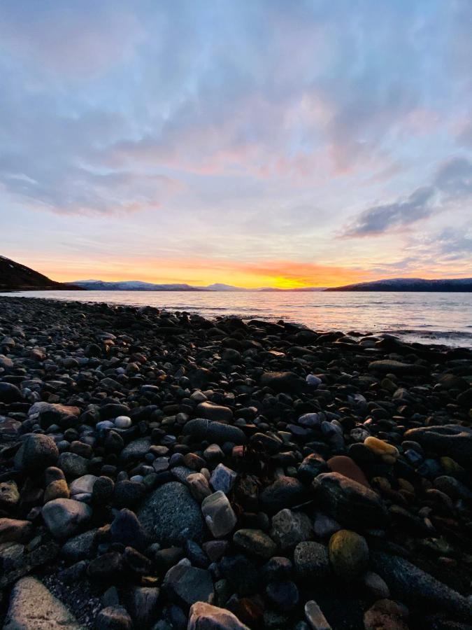 Unique And Charming Holiday Home With Fantastic Sea Views トロムソ エクステリア 写真