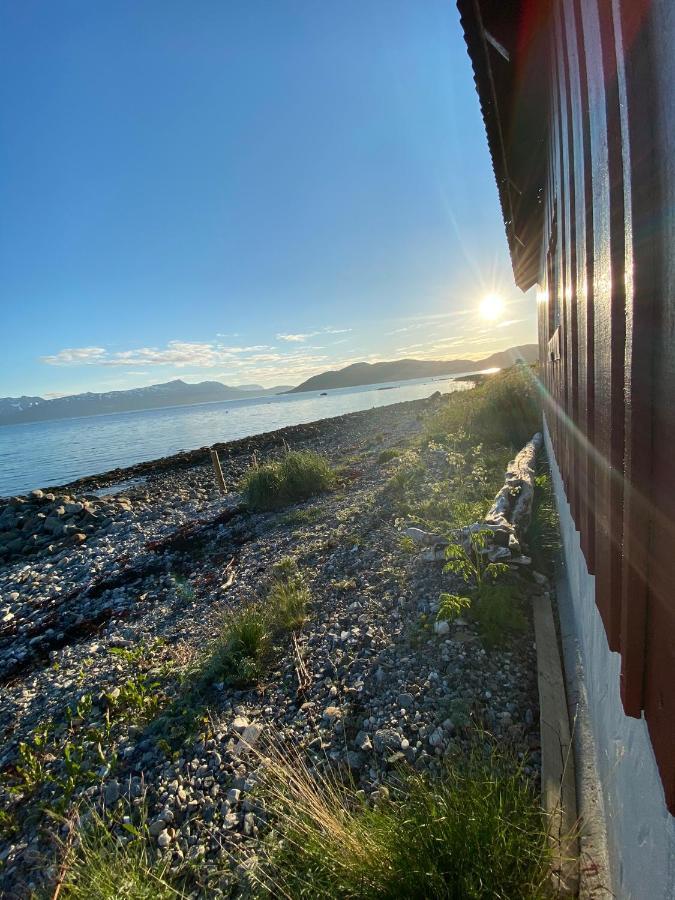Unique And Charming Holiday Home With Fantastic Sea Views トロムソ エクステリア 写真