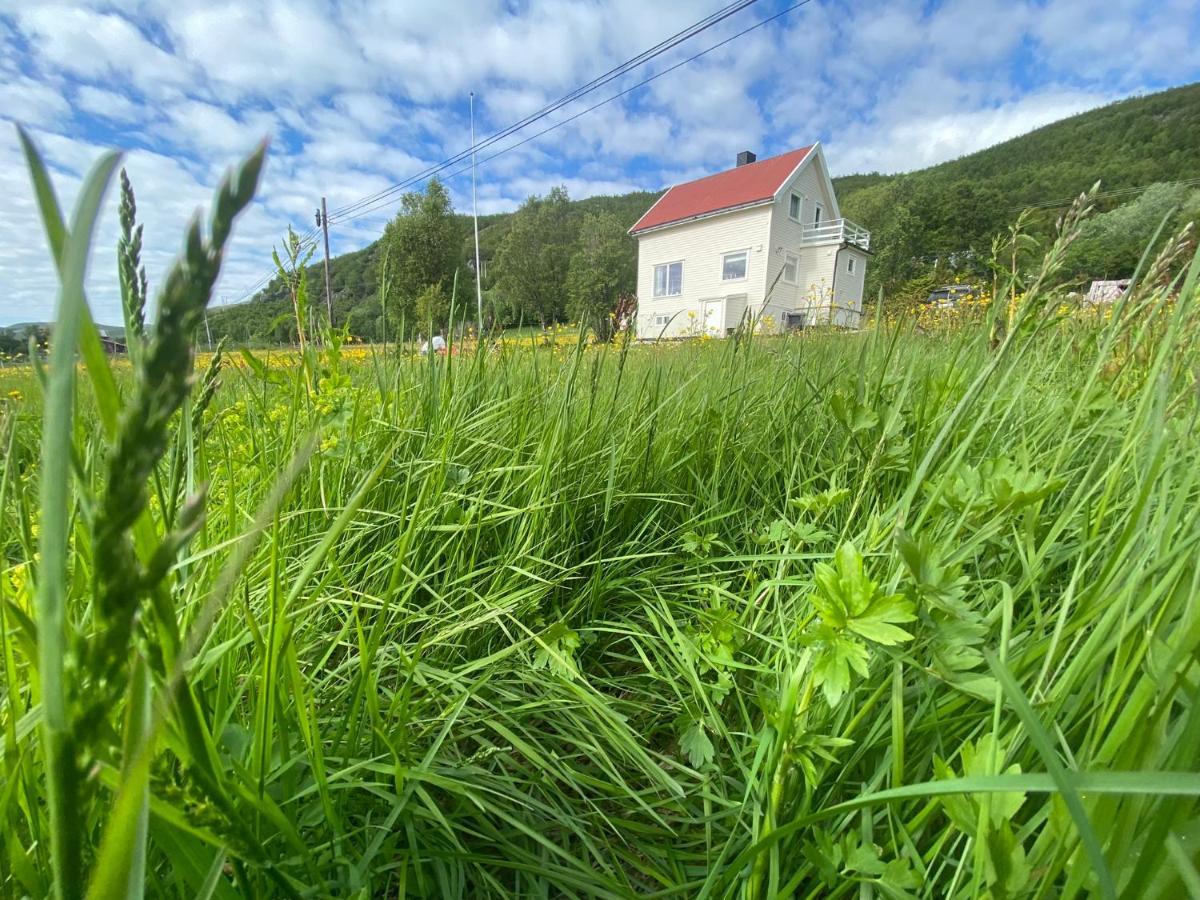 Unique And Charming Holiday Home With Fantastic Sea Views トロムソ エクステリア 写真