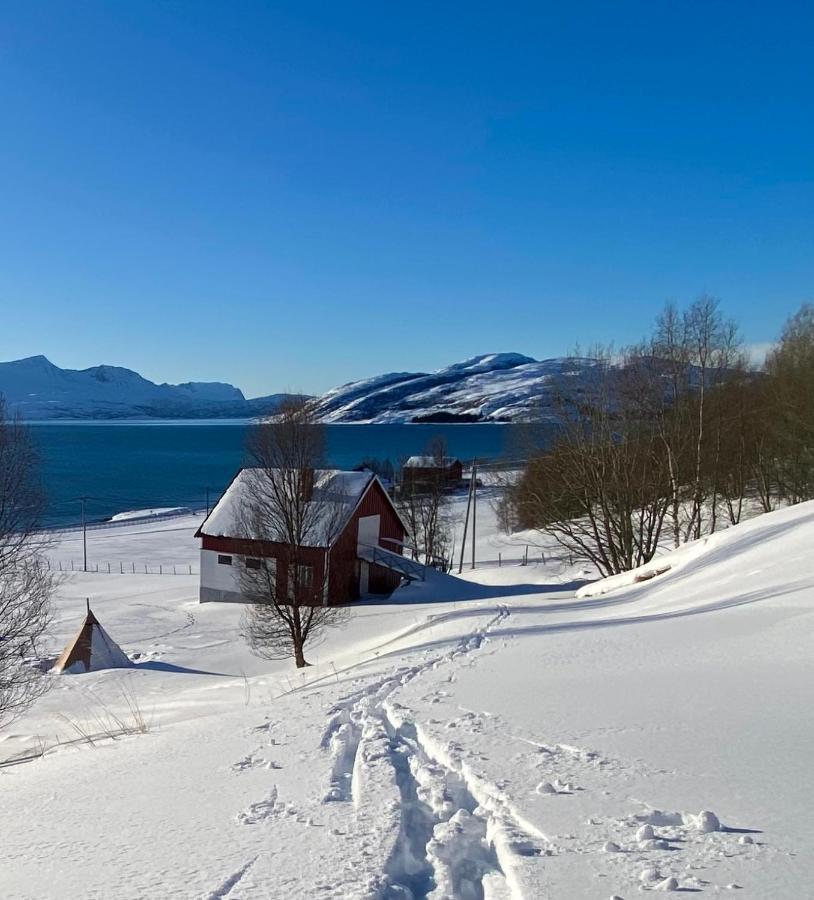 Unique And Charming Holiday Home With Fantastic Sea Views トロムソ エクステリア 写真