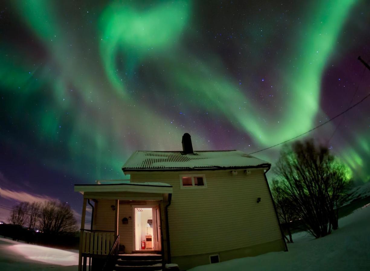 Unique And Charming Holiday Home With Fantastic Sea Views トロムソ エクステリア 写真